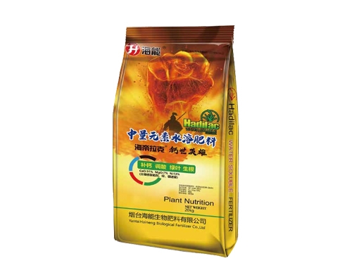 广西海帝拉克钙世英雄
