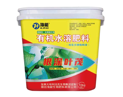 广西根深叶茂