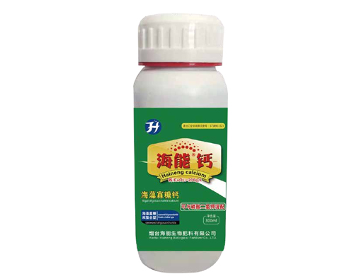 广西香蕉爱视频免费下载钙