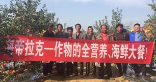 苹果树12月管理技术要点！抓紧时间看