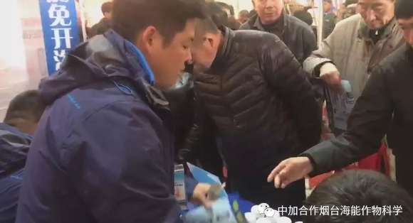 香蕉爱视频免费下载生物带你玩转烟台苗木会