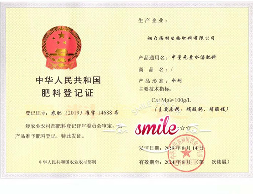 付出终会有回报，功夫不负有心人
