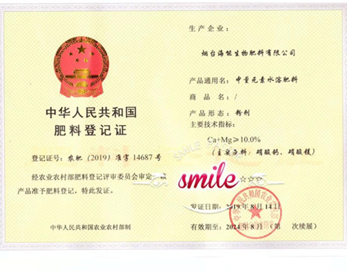 付出终会有回报，功夫不负有心人