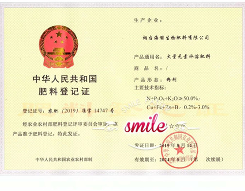 付出终会有回报，功夫不负有心人