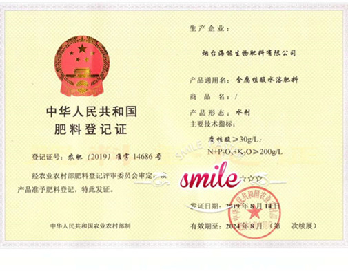 付出终会有回报，功夫不负有心人